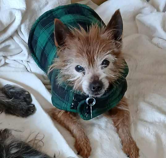 Photo of Murphy
