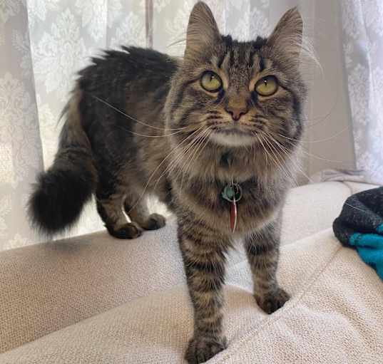Photo of Tina