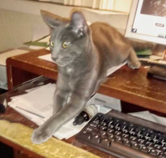 Photo of "Blue"