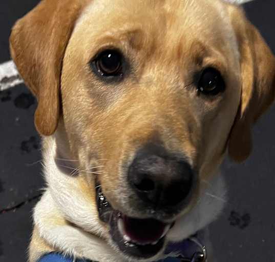 Photo of Miss Maggie