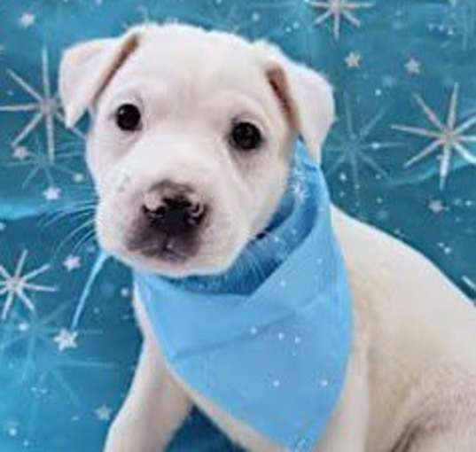 Photo of Olaf