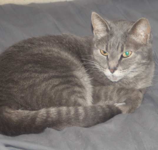 Photo of Princess (Prinny)
