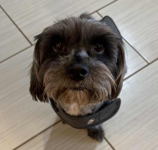 Photo of Lilly