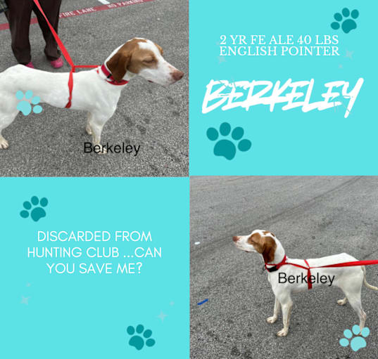 Photo of Berkeley