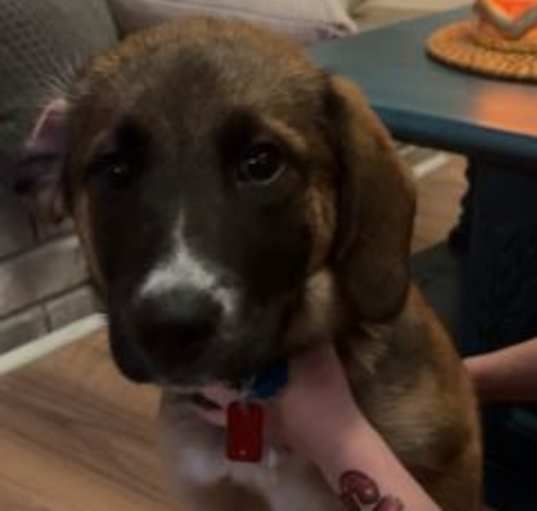 Photo of HONEY