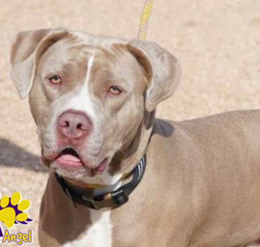 Photo of Roxy
