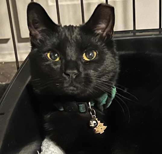 Photo of Hershey