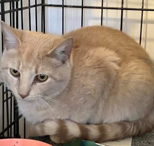 Photo of Sandy