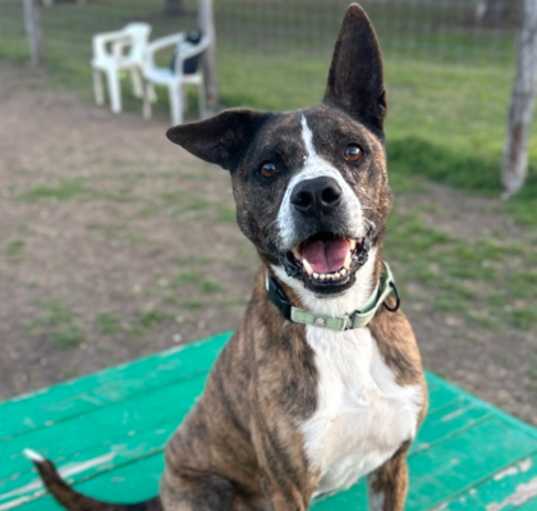 Photo of Thor