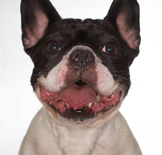 Photo of Queenie