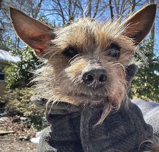 Photo of Sam