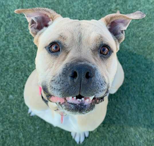 Photo of Winnie A5675245