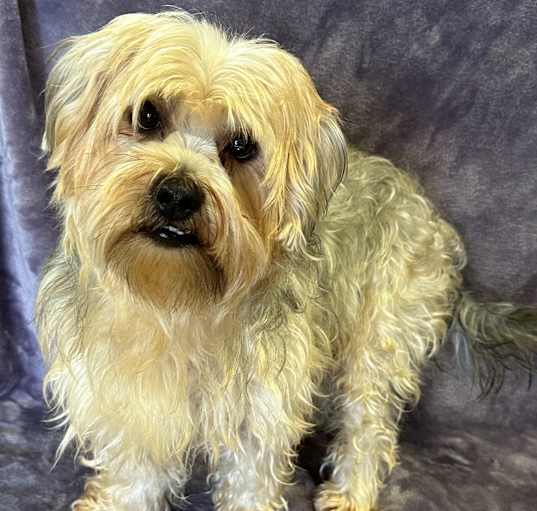 Photo of Tobie