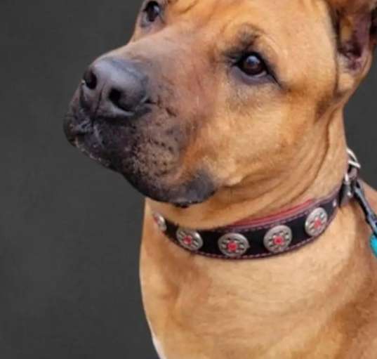 Photo of RUBY