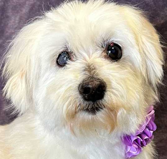 Photo of Molly