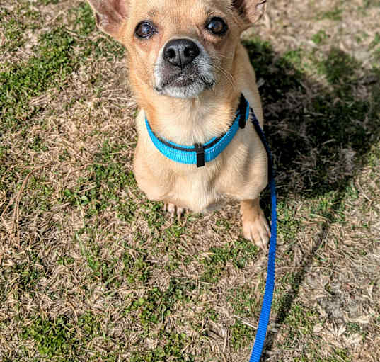 Photo of Rocket