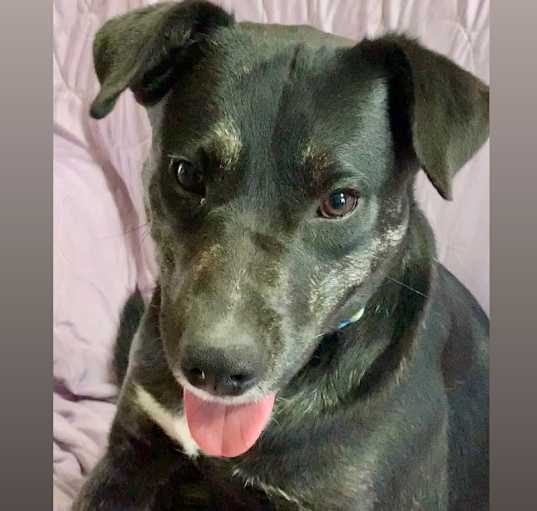Photo of Sheila