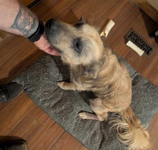 Photo of Wickett