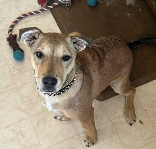 Photo of Shilo