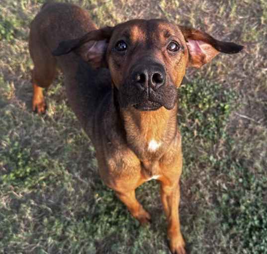 Photo of Jumper