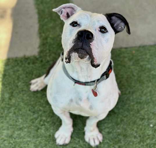 Photo of Storie A5422170