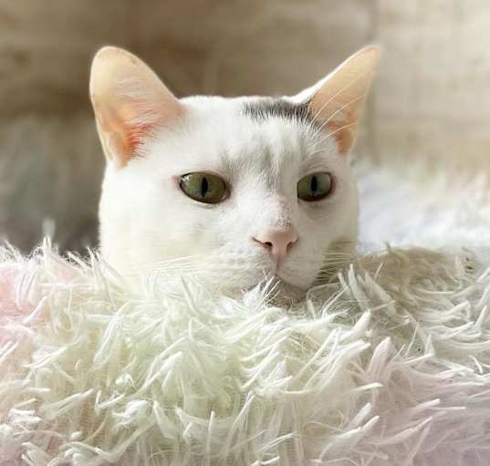 Photo of Marlee