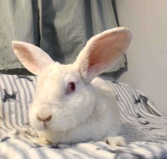 Photo of Grace