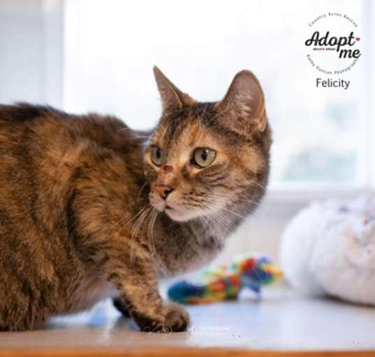 Photo of Felicity