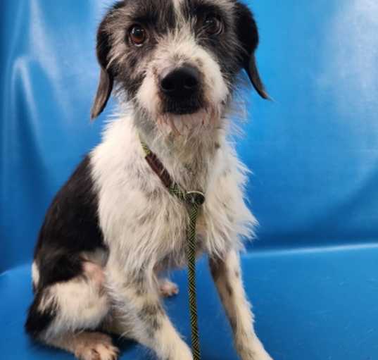 Photo of Sally