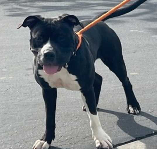 Photo of BAYLEE