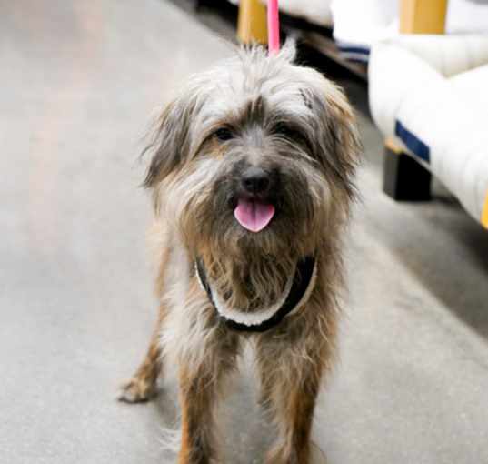 Photo of Chuy