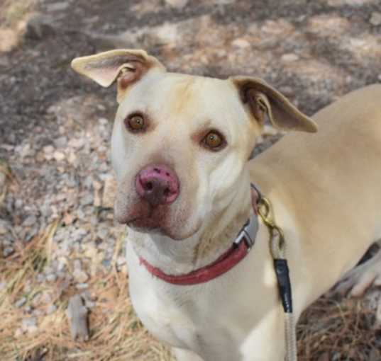 Photo of Roxi