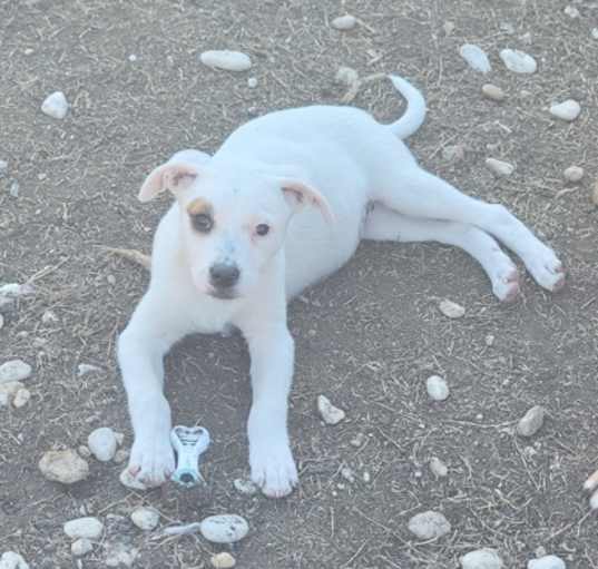 Photo of Holly