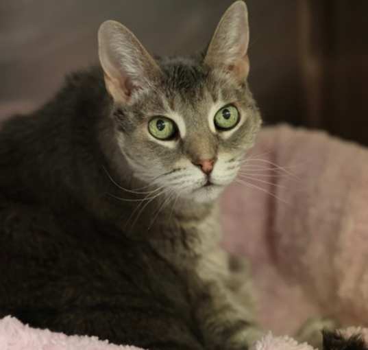 Photo of Mona