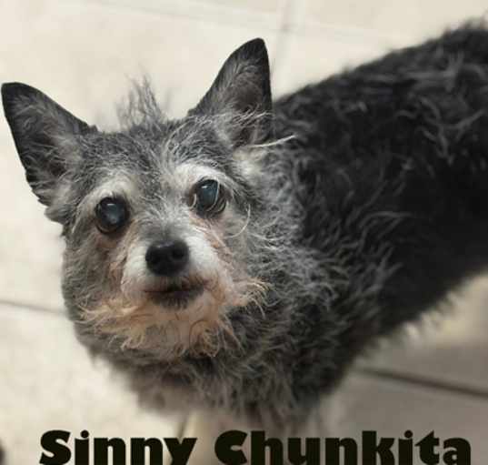 Photo of Sinny Chunkita-Stray