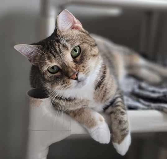Photo of Bianca