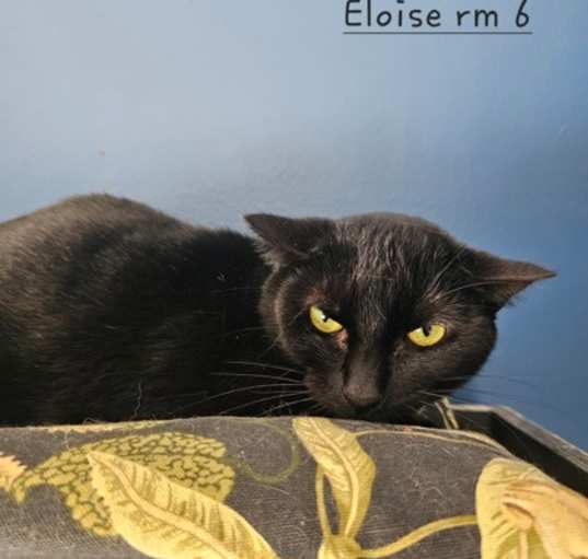 Photo of Eloise