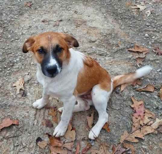 Photo of cosmo