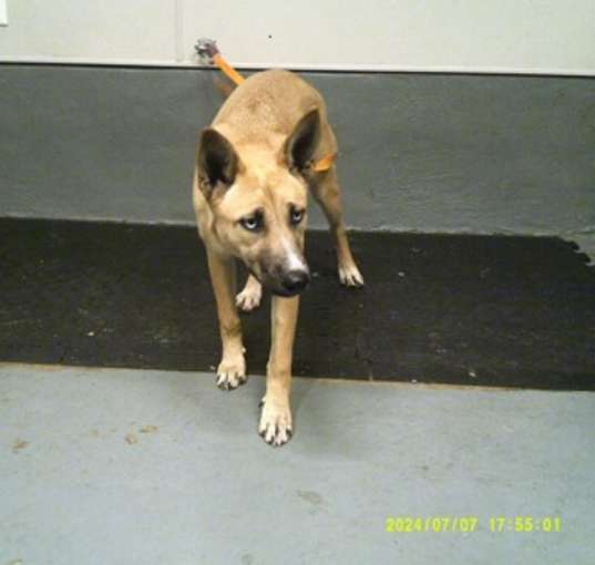 Photo of Sally