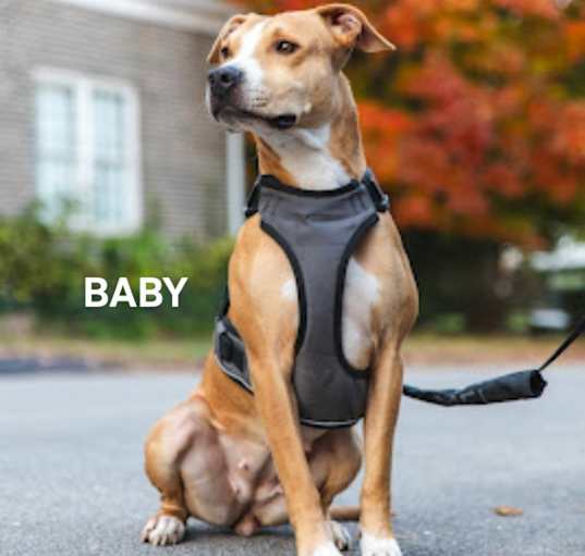 Photo of Baby