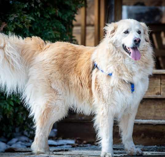 Photo of Wally