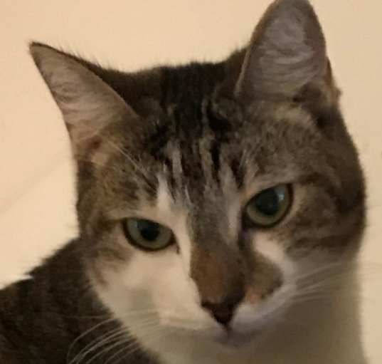 Photo of Ursula