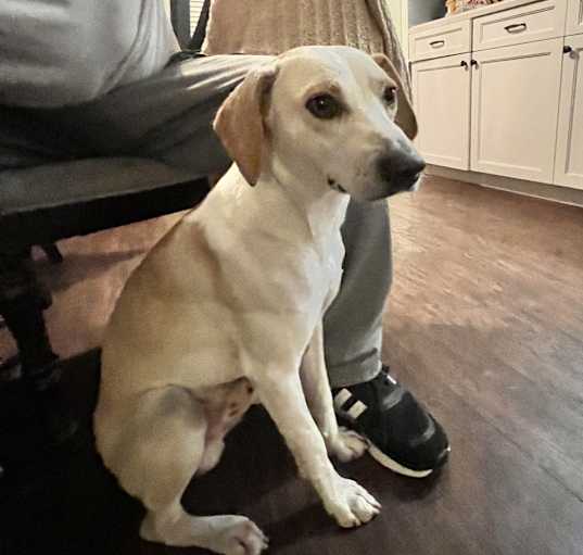 Photo of Jax