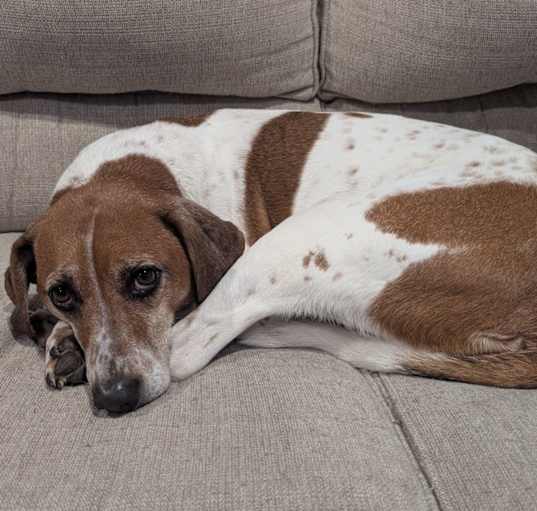 Photo of Zeke