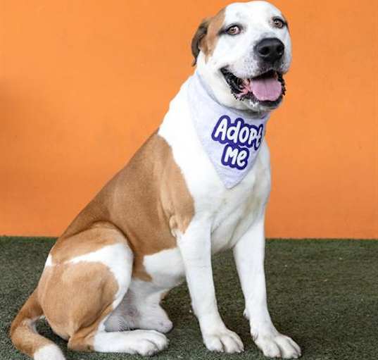 Photo of ASTRO