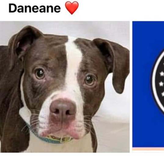 Photo of DANEANE