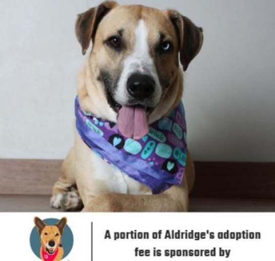 Photo of Aldridge ** D8986 (Sponsored)