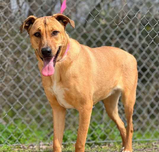 Photo of Maggie