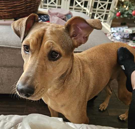 Photo of Maggie