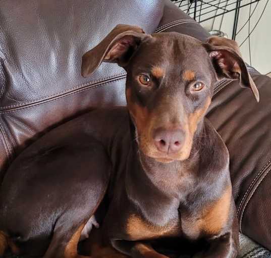 Photo of Sasha